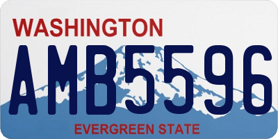 WA license plate AMB5596