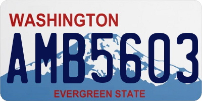 WA license plate AMB5603