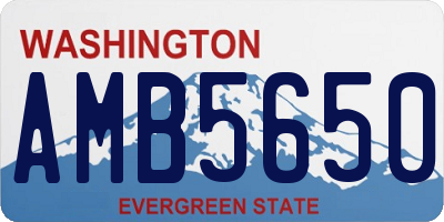 WA license plate AMB5650