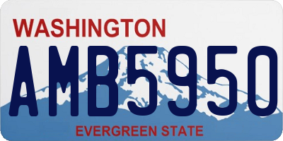 WA license plate AMB5950