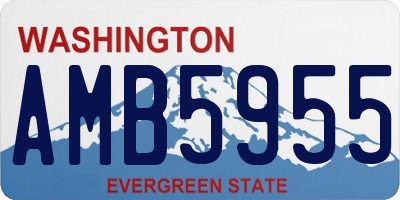 WA license plate AMB5955