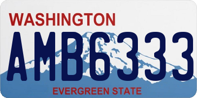 WA license plate AMB6333