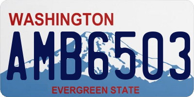 WA license plate AMB6503