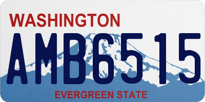 WA license plate AMB6515