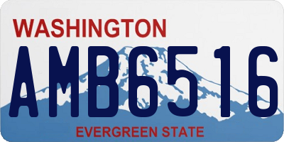 WA license plate AMB6516