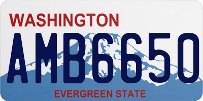 WA license plate AMB6650