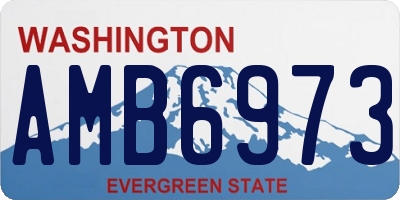 WA license plate AMB6973