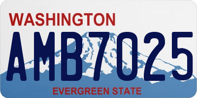 WA license plate AMB7025