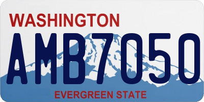 WA license plate AMB7050