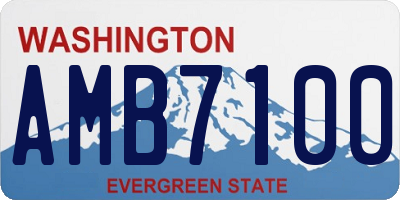 WA license plate AMB7100