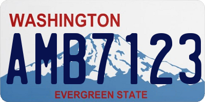 WA license plate AMB7123
