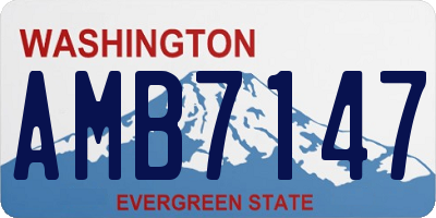 WA license plate AMB7147