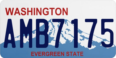 WA license plate AMB7175