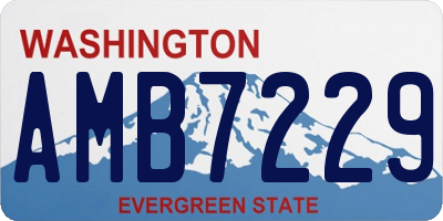 WA license plate AMB7229