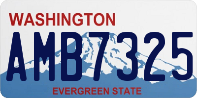 WA license plate AMB7325