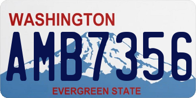 WA license plate AMB7356