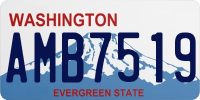 WA license plate AMB7519