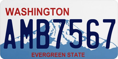 WA license plate AMB7567