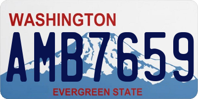 WA license plate AMB7659