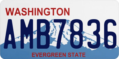 WA license plate AMB7836