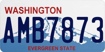 WA license plate AMB7873