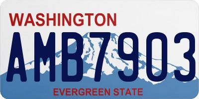 WA license plate AMB7903