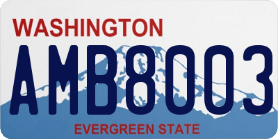 WA license plate AMB8003