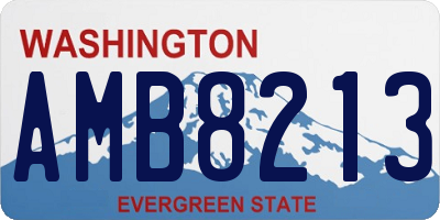 WA license plate AMB8213