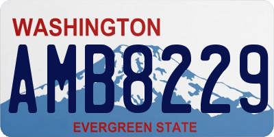 WA license plate AMB8229