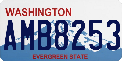 WA license plate AMB8253