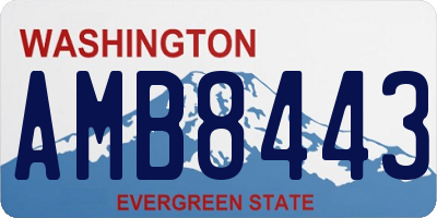 WA license plate AMB8443
