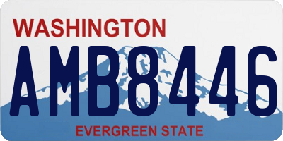 WA license plate AMB8446