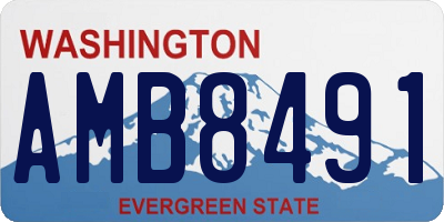 WA license plate AMB8491