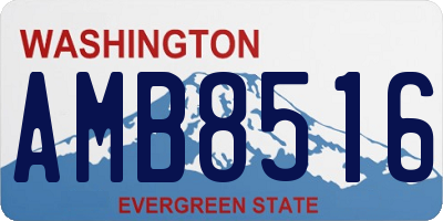 WA license plate AMB8516