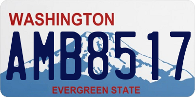 WA license plate AMB8517