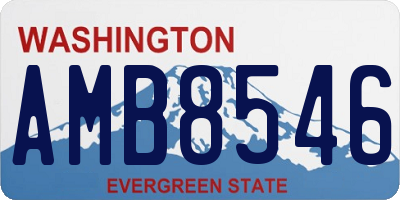 WA license plate AMB8546