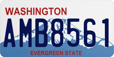 WA license plate AMB8561