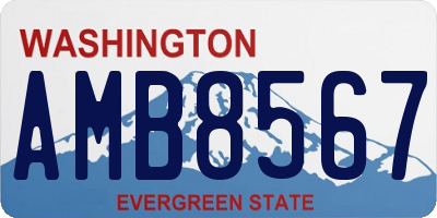 WA license plate AMB8567