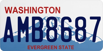 WA license plate AMB8687