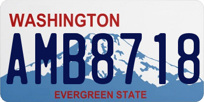 WA license plate AMB8718