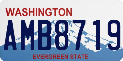 WA license plate AMB8719