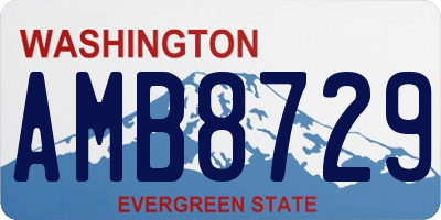 WA license plate AMB8729