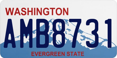 WA license plate AMB8731
