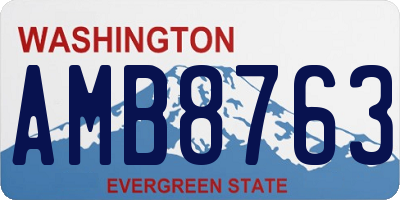 WA license plate AMB8763