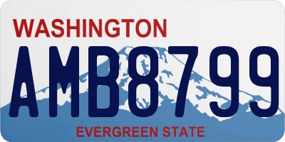 WA license plate AMB8799