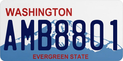 WA license plate AMB8801
