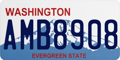WA license plate AMB8908
