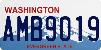 WA license plate AMB9019