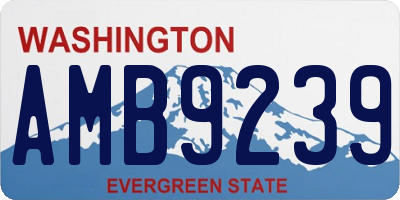 WA license plate AMB9239