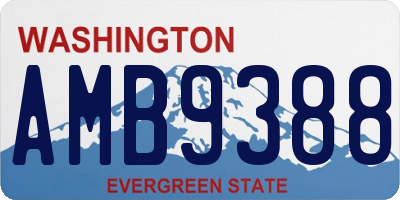 WA license plate AMB9388